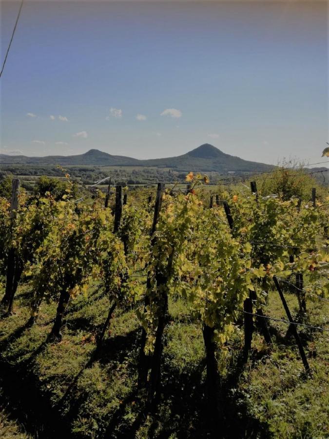 Вилла Agnes Almai Agnes Apples Kisapati Экстерьер фото
